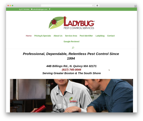 Bug – fly on the screen (insector) free WordPress plugin - ladybugpcs.com
