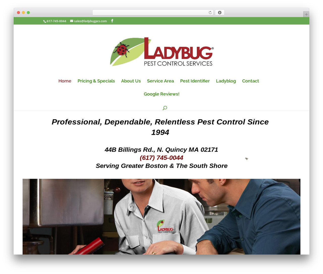Divi theme WordPress - ladybugpcs.com Divi theme WordPress - ladybugpcs.com