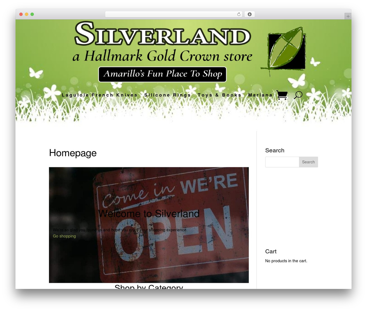 Divi WordPress theme - shopsilverland.com