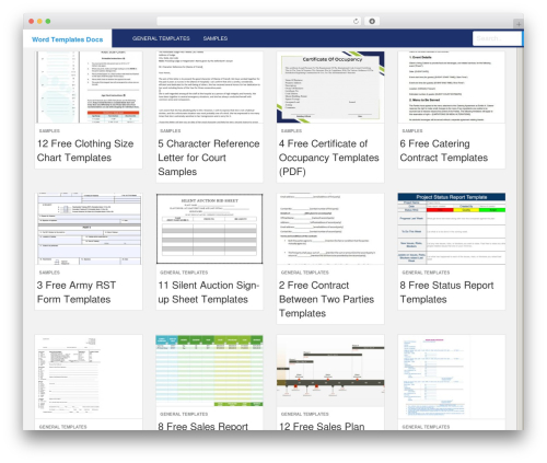 Level WordPress theme design - wordtemplatesdocs.org