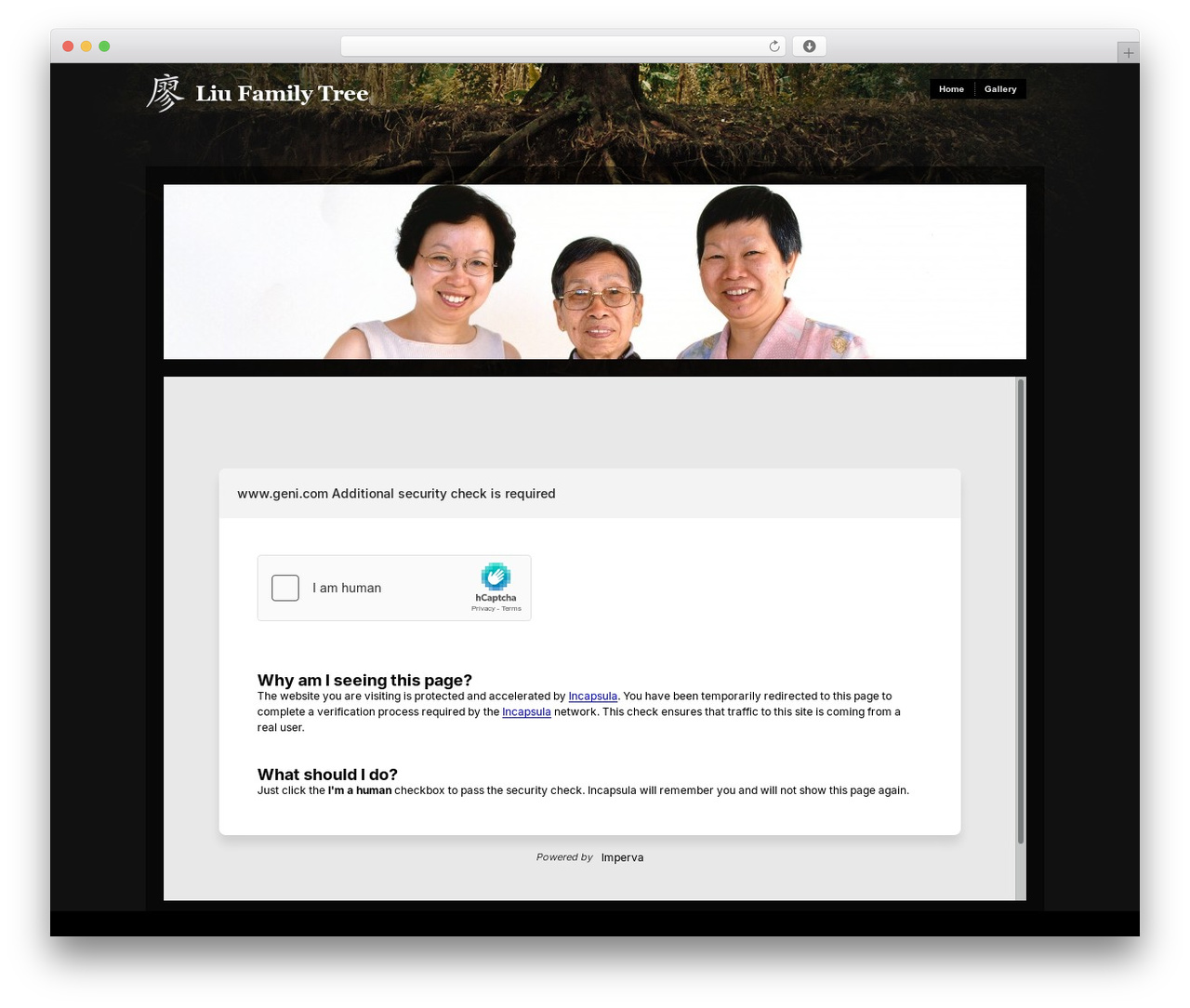 Modularity Lite WordPress theme - liufamilytree.com Modularity Lite WordPress theme - liufamilytree.com