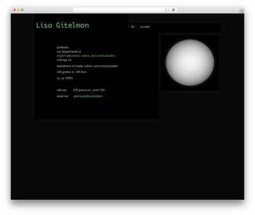 Paragrams top WordPress theme - lisagitelman.org