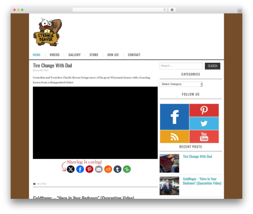 FLV Embed (flv-embed) free WordPress plugin - strangebeaver.com FLV Embed (flv-embed) free WordPress plugin - strangebeaver.com
