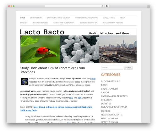 Tiny Framework WordPress theme - lactobacto.com Tiny Framework WordPress theme - lactobacto.com