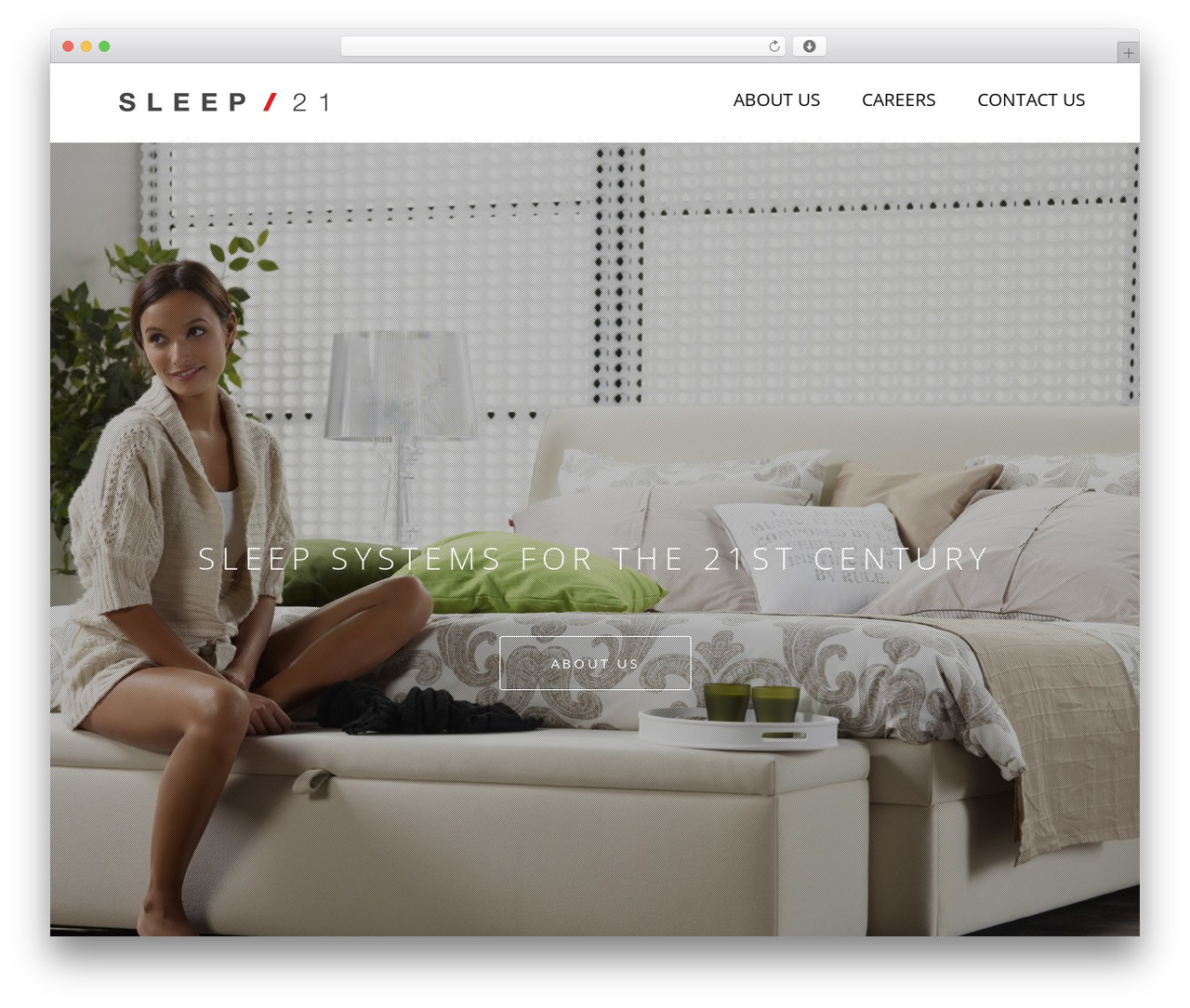 Visia premium WordPress theme - sleep21.com