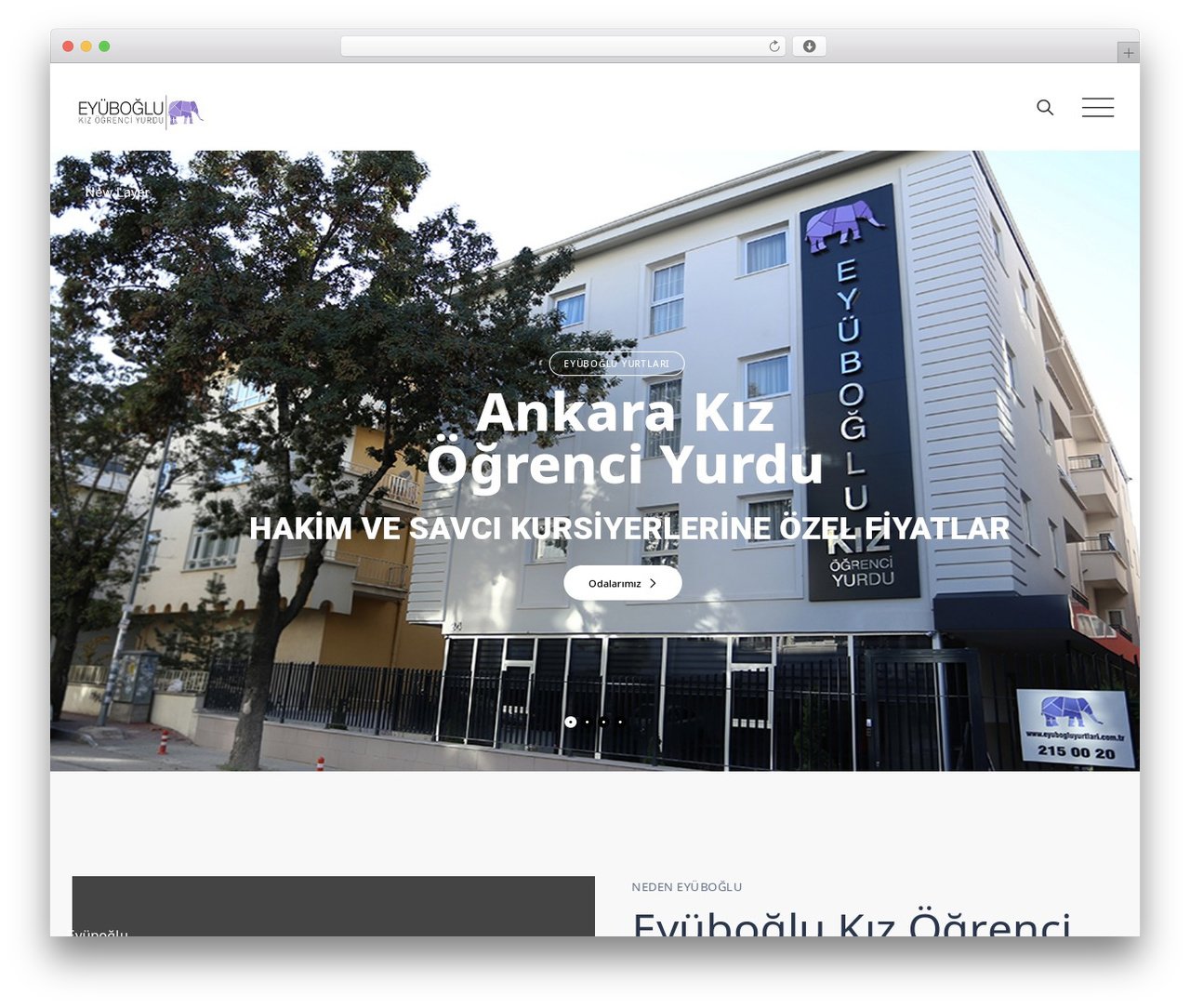 WordPress theme Greenify - eyuboglukizogrenciyurt.com