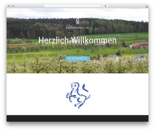 DSGVO für die Schweiz (dsgvo-fur-die-schweiz) free WordPress plugin - rossrueti.ch