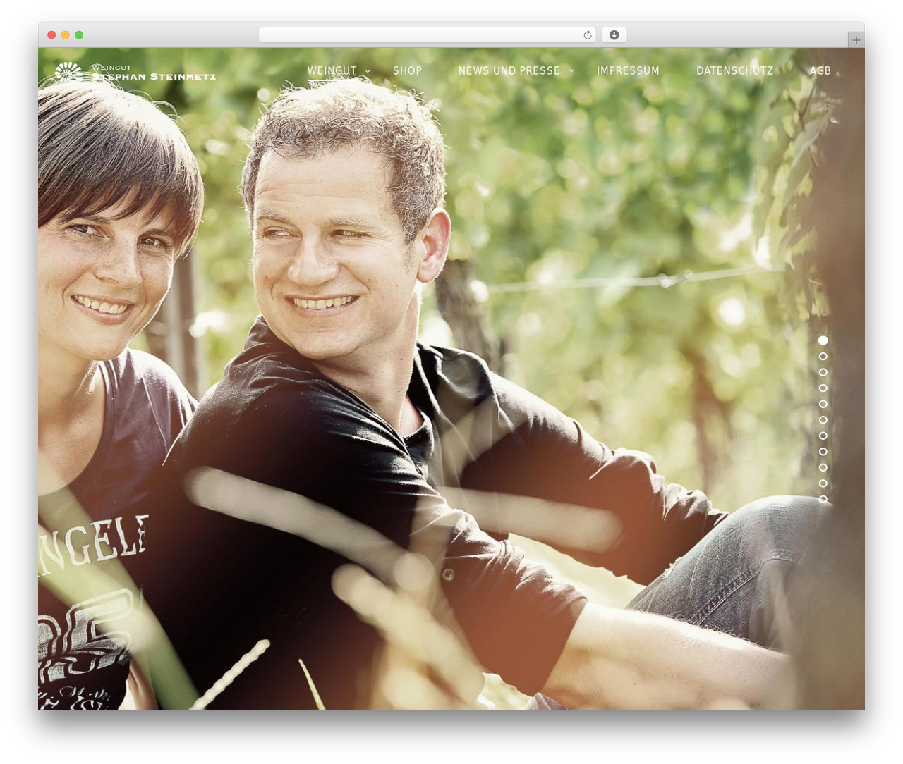 WordPress theme Rosa - stephan-steinmetz.de