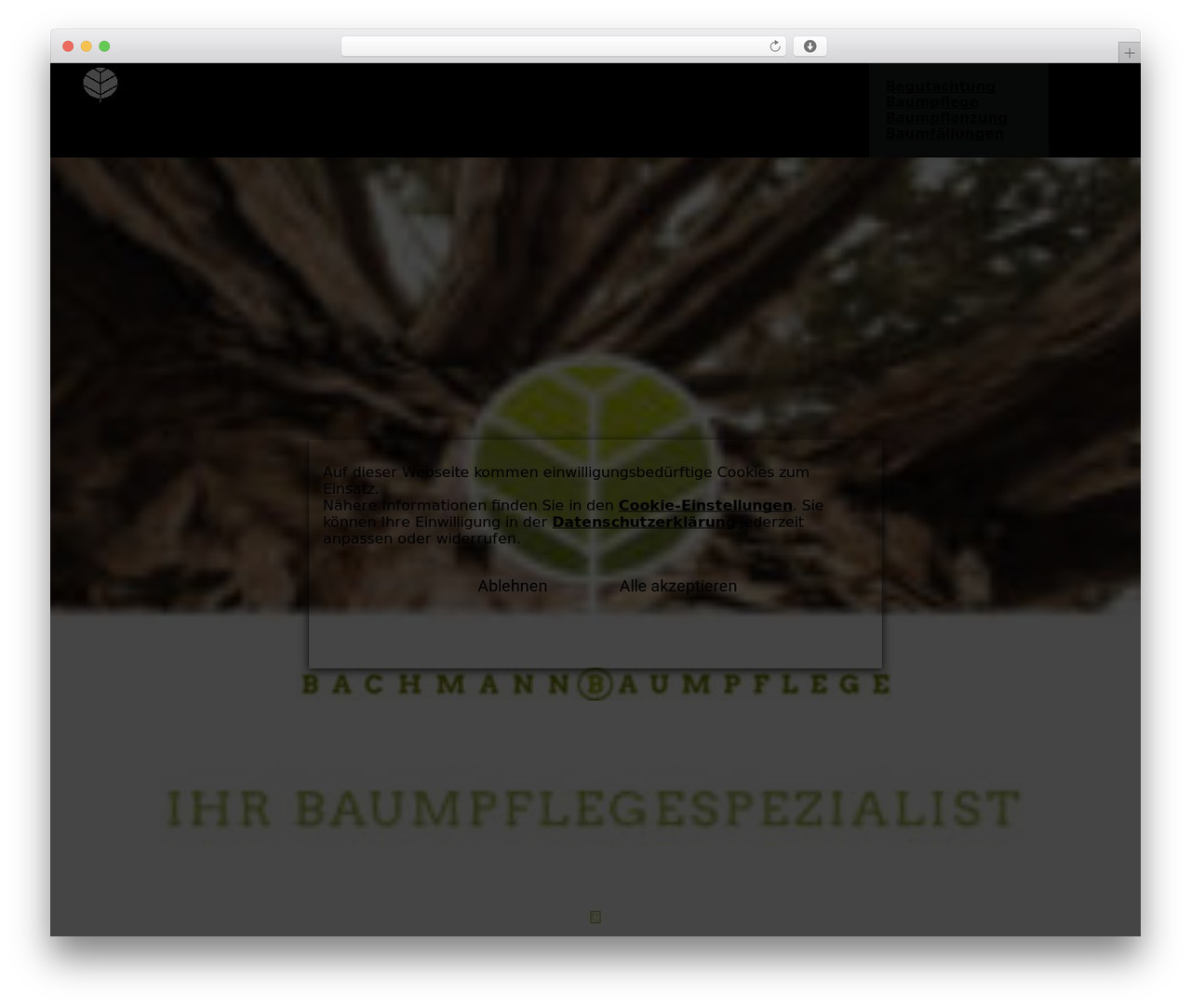 WordPress theme Uncode - b-baumpflege.ch WordPress theme Uncode - b-baumpflege.ch
