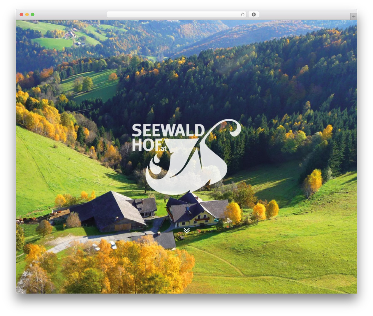WordPress theme WP Nuvo - seewaldhof.at WordPress theme WP Nuvo - seewaldhof.at