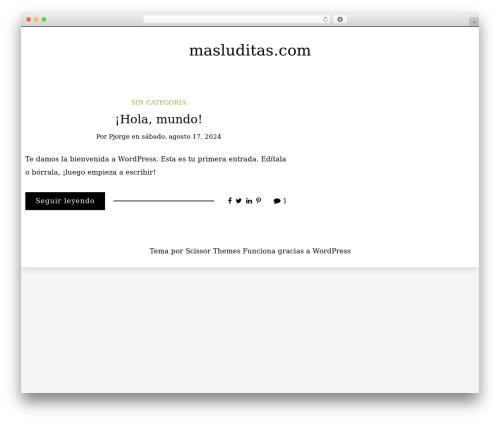 WordPress theme Writee - masluditas.com