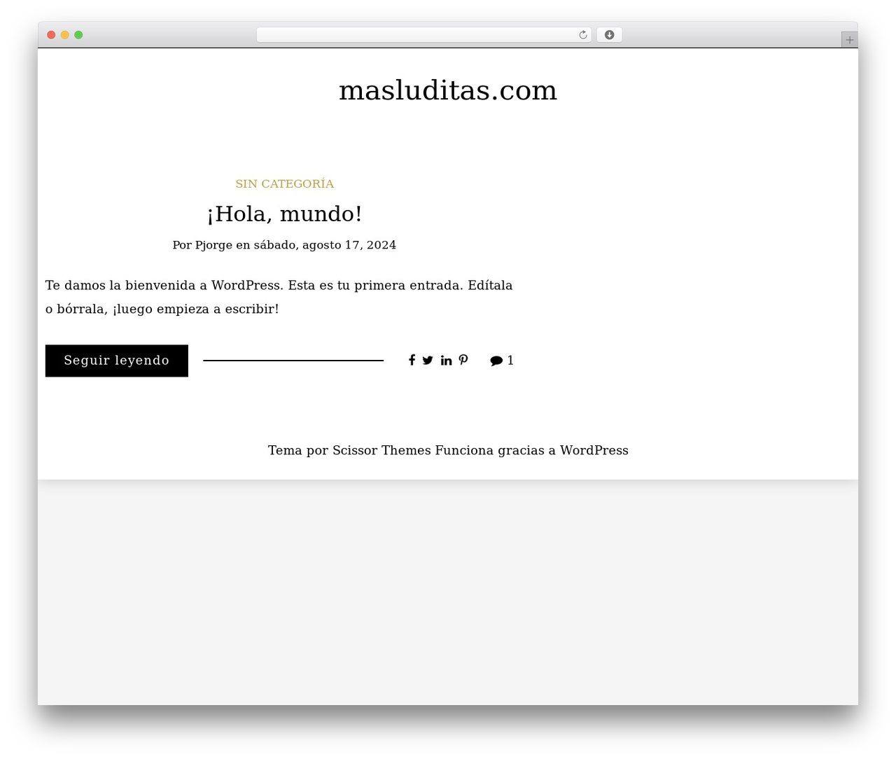 WordPress theme Writee - masluditas.com