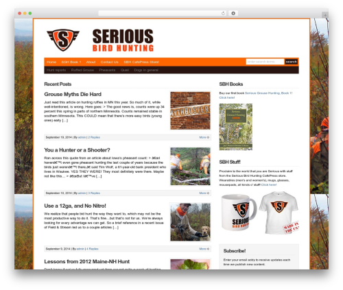 WP-DaVinci WordPress theme design - seriousbirdhunting.com