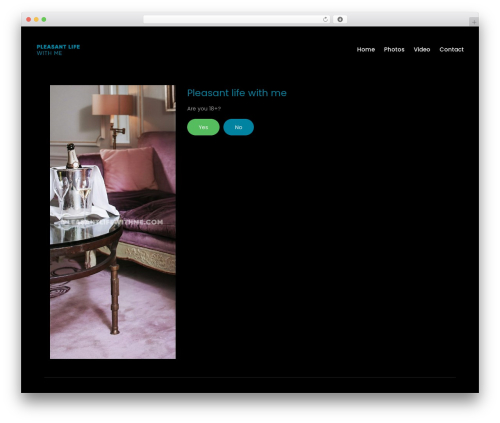 Best WordPress theme Site - pleasantlifewithme.com
