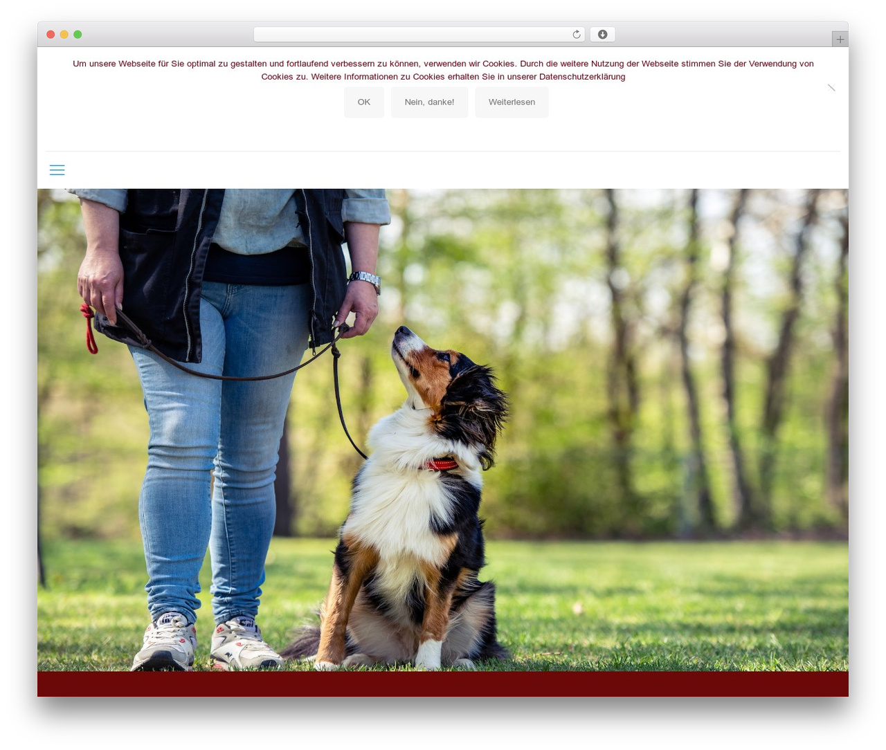 Betheme premium WordPress theme - senco-dogs.de