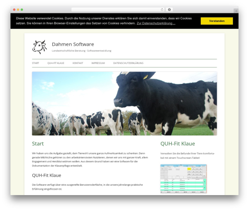 Dahmen-Software WordPress theme - dahmen-software.de