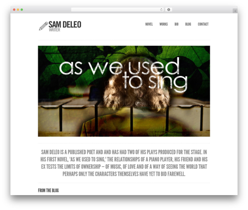 Purity WP theme - samdeleo.com