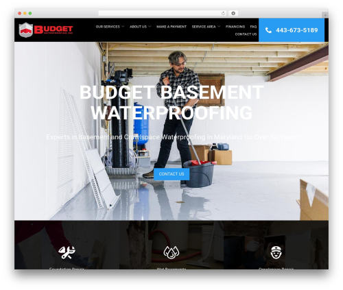 Reach Local WordPress theme - budgetbasement.com