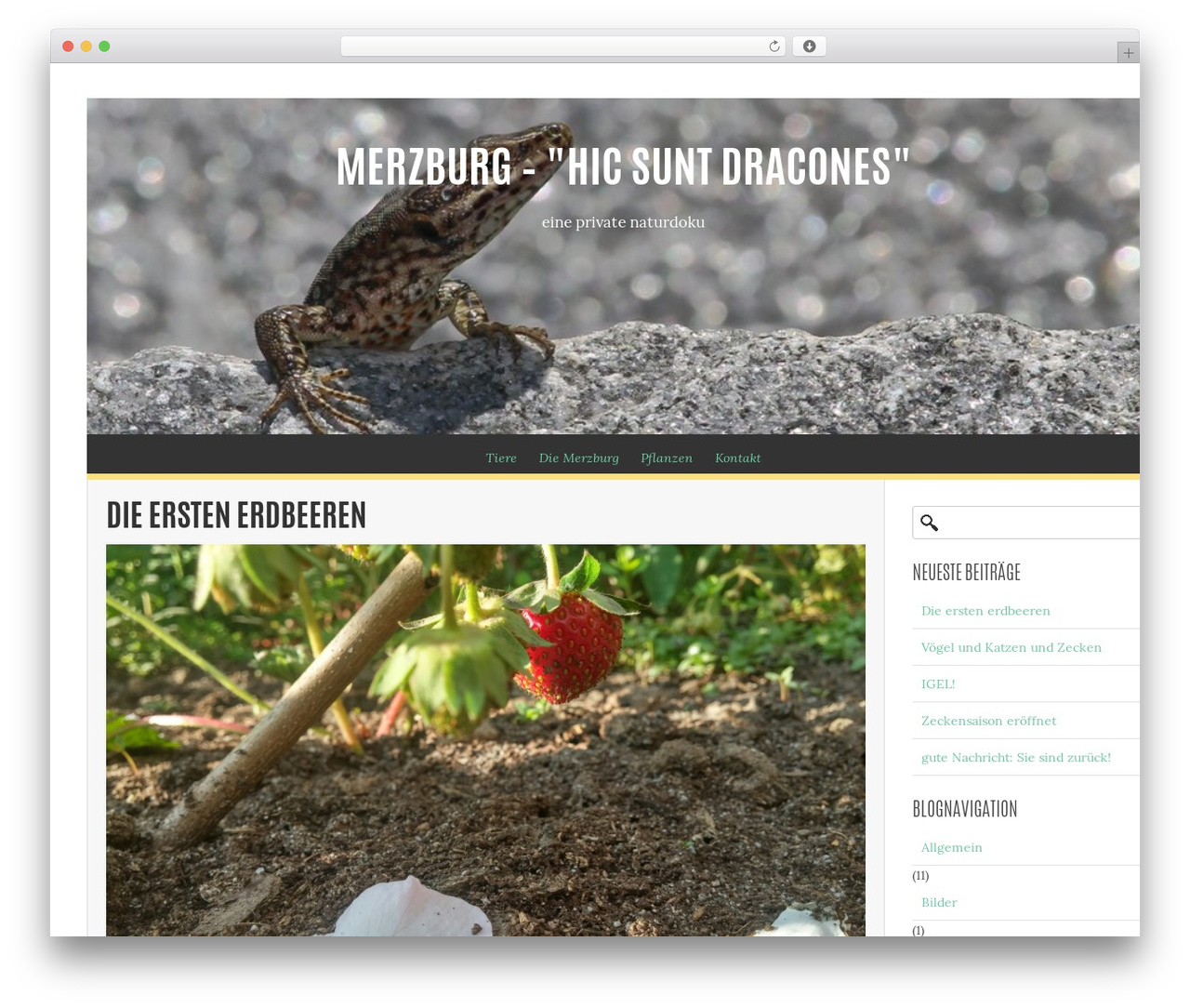 Summit Lite theme WordPress - merzburg.ch Summit Lite theme WordPress - merzburg.ch