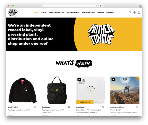 Social Slider Feed (instagram-slider-widget) free WordPress plugin - mothertonguerecords.com