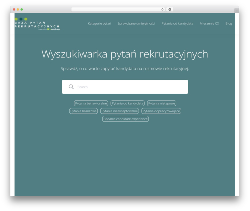 SubTech WordPress theme - bazapytanrekrutacyjnych.pl