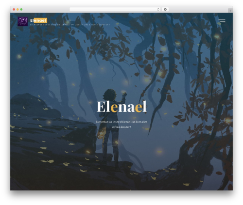 Lws optimize WordPress plugin - elenael.fr