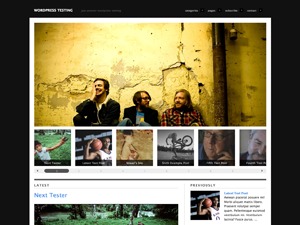 WordPress theme Modularity CUSTOM by Thad Allender