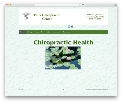 WordPress theme Responsive Pro - felixchiropracticcenter.com WordPress theme Responsive Pro - felixchiropracticcenter.com