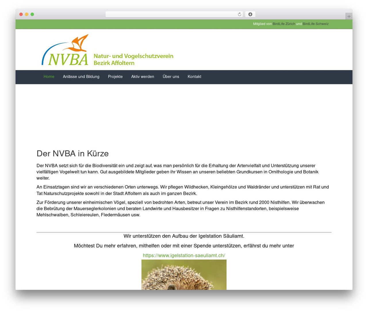 Beaver Builder Theme best WordPress theme - nvba.ch