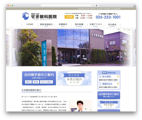 DECADE2カラム右 WordPress website theme - sekieyeclinic.org