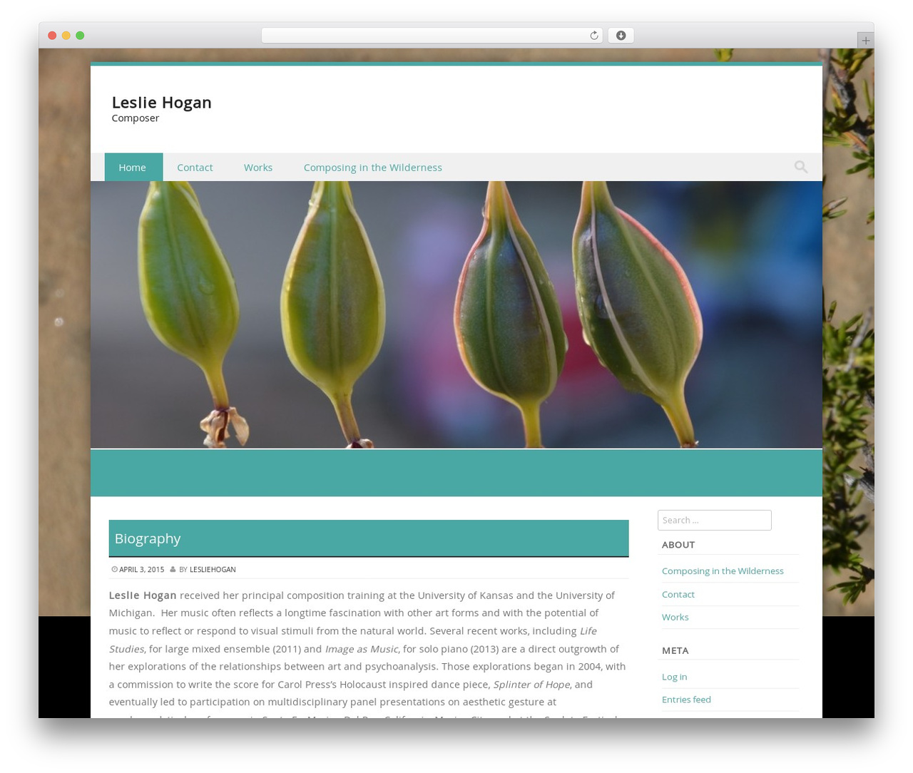 Discovery free WordPress theme - lesliehogancomposer.com