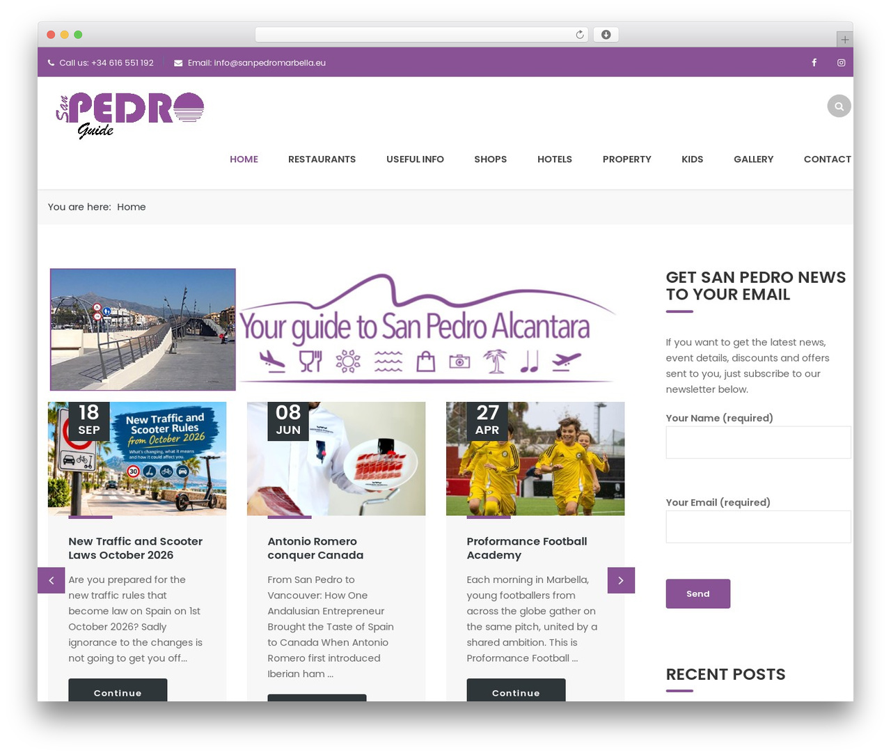Finance WordPress theme - sanpedromarbella.eu