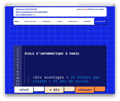 Telephone field for elementor forms WordPress plugin - ingetis.com