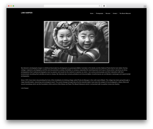 Modularity Lite WordPress website theme - linkharper.com