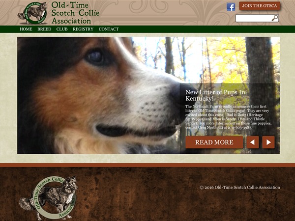 New Scotch WordPress theme