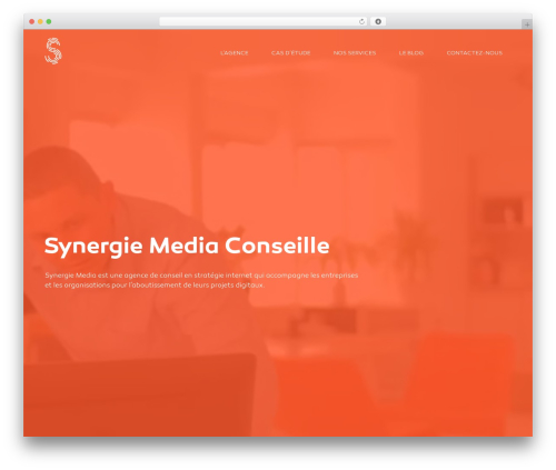 Phoenix WP theme - synergie-media.com