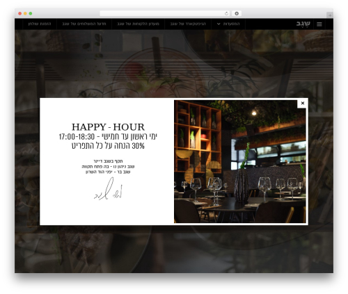 Segev theme best WordPress theme - segevchef.com