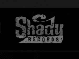 Shady WordPress theme