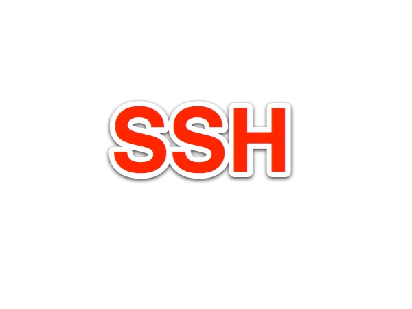 SSH WP theme