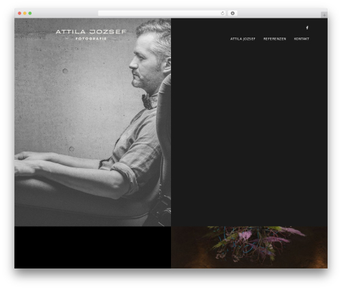 Imaginem blocks ii WordPress plugin - attilajozsef.com