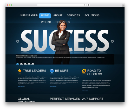 Social Networks Widget (social-networks-widget) free WordPress plugin - seenowalls.com