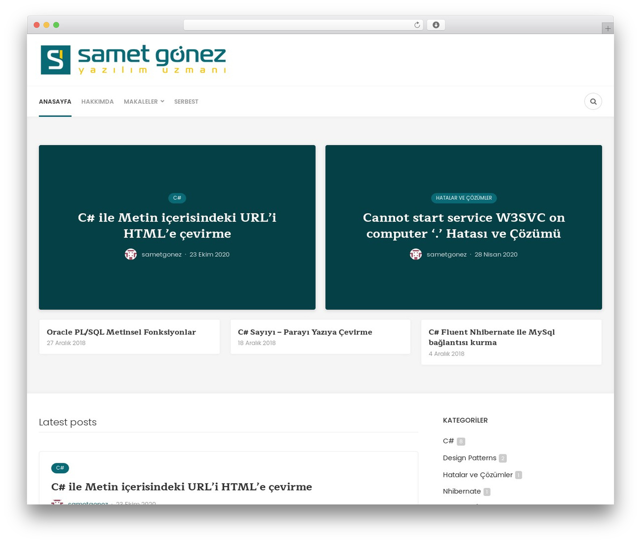 Bone WordPress theme - sametgonez.com