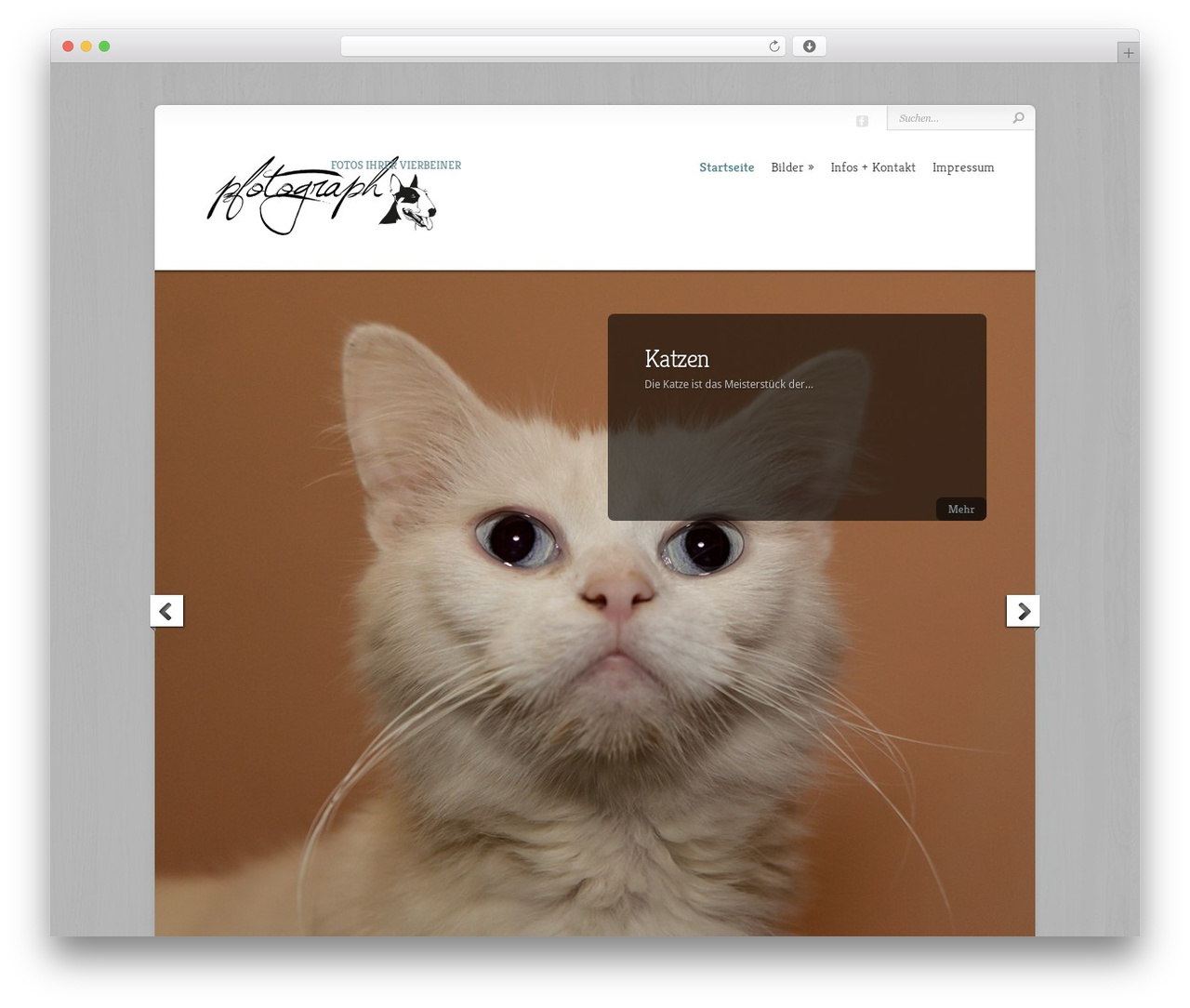 Chameleon WordPress theme - scorpiorising.at