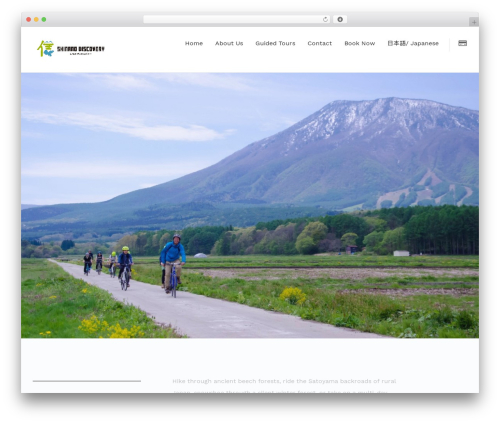 Th widget pack WordPress plugin - shinanodiscovery.com