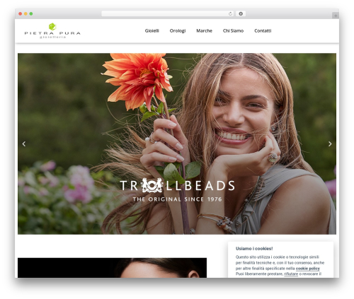 Oir gdpr WordPress plugin - pietrapura.it