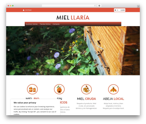 Redsyspur WordPress plugin - llaria.com