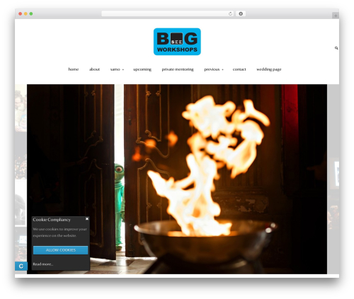 Pilot WordPress shopping theme - seethebigpictureworkshops.com