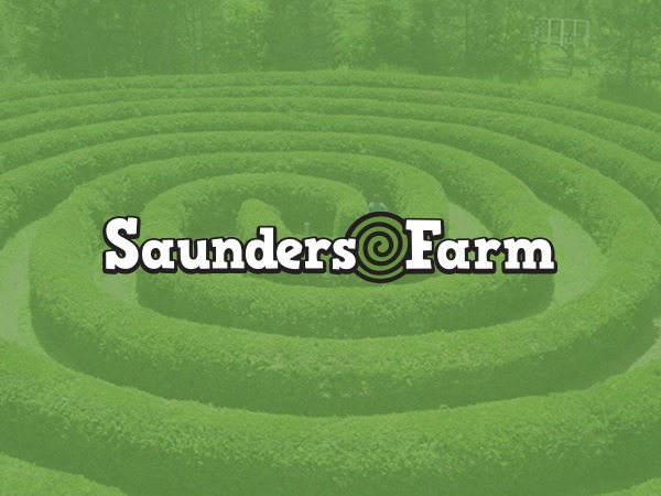 Saunders WordPress theme