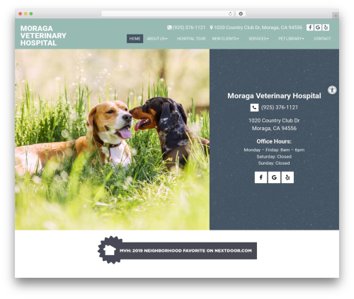 Theme WordPress Parent Theme - moragavet.com