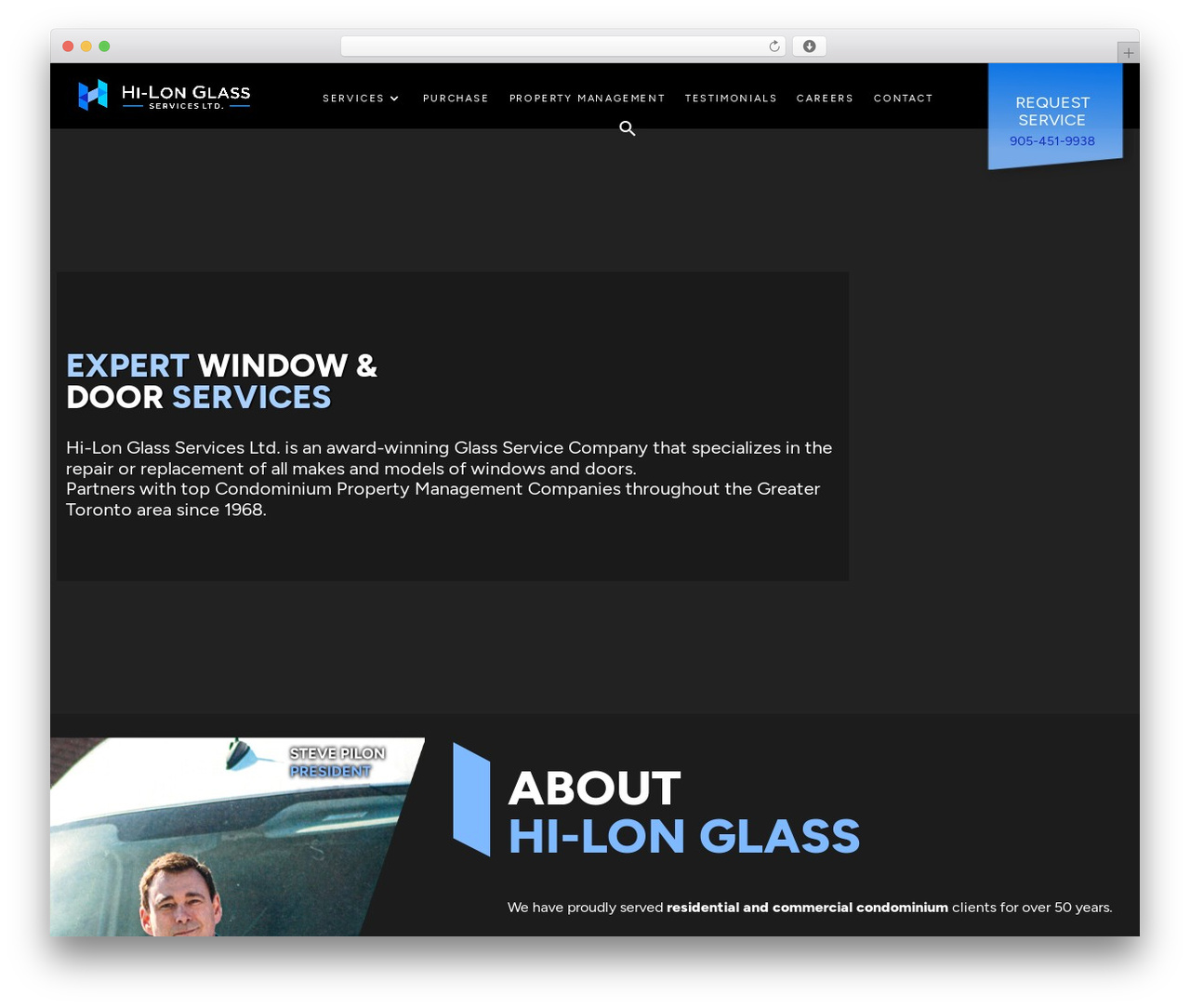 WordPress theme Divi - hi-longlass.com